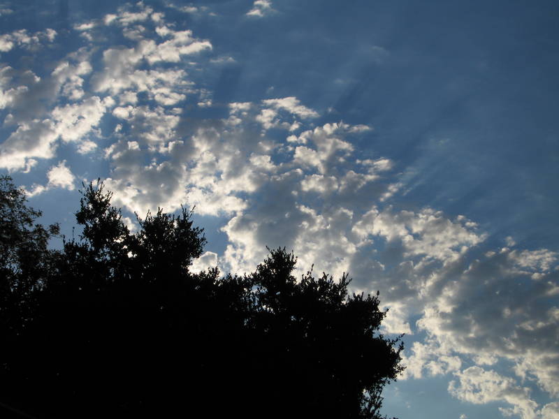 Early on Thursday, Beth took some...