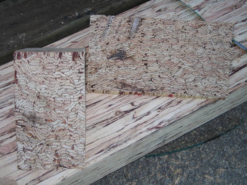 A paralam up close. Strange looking...