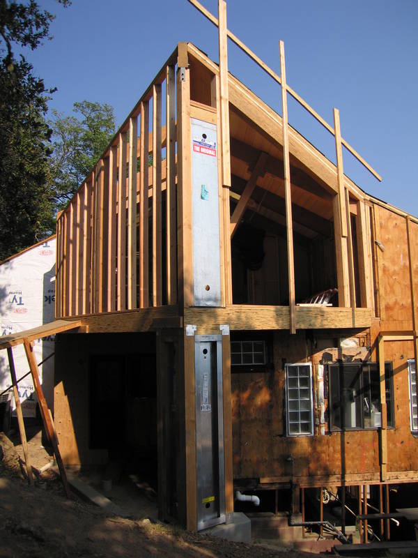 The entire treehouse....