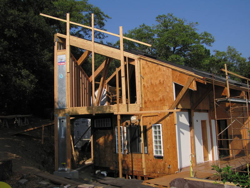 The site view after a number of weeks we...