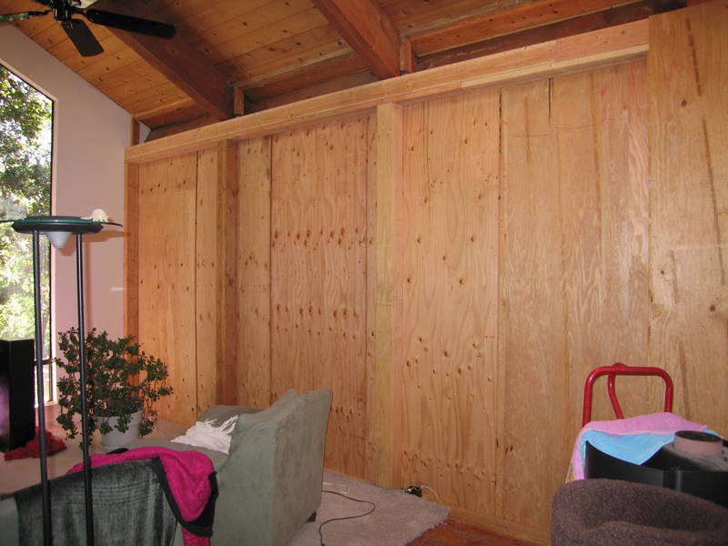 Later, the new living room wall, plywood...