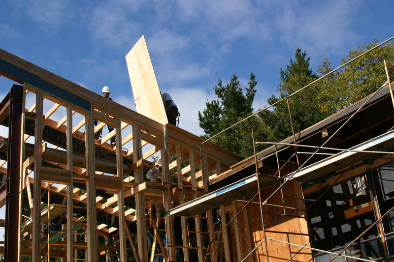 Plywood going onto the roof....