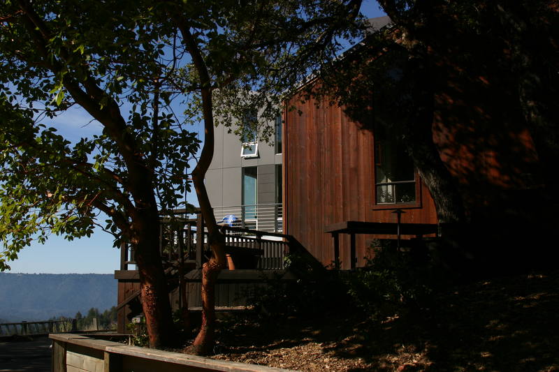 A little art shot from the driveway....