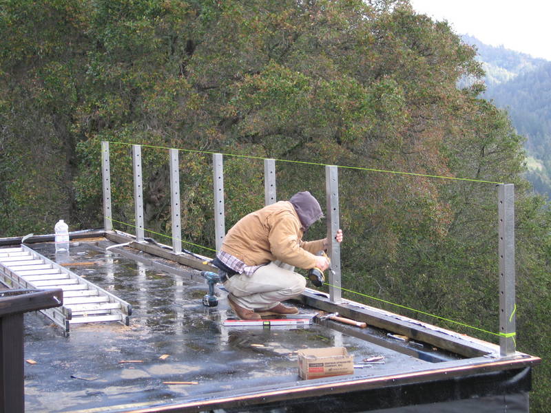 In between short downpours, more posts....