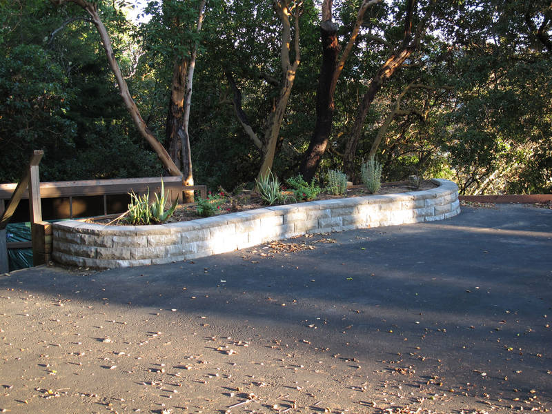 He also built us this planter box at the...